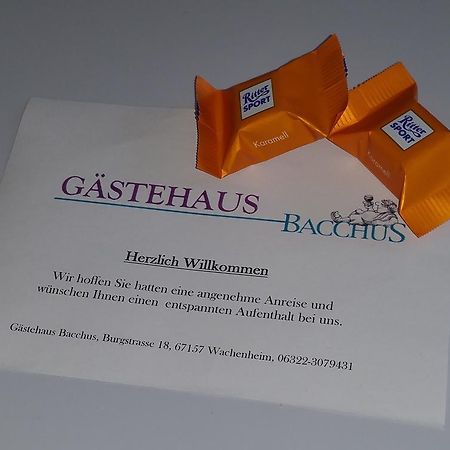Gaestehaus Bacchus Wachenheim an der Weinstraße Eksteriør billede