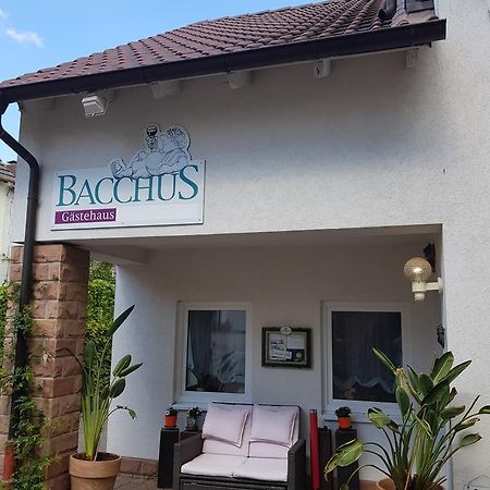 Gaestehaus Bacchus Wachenheim an der Weinstraße Eksteriør billede