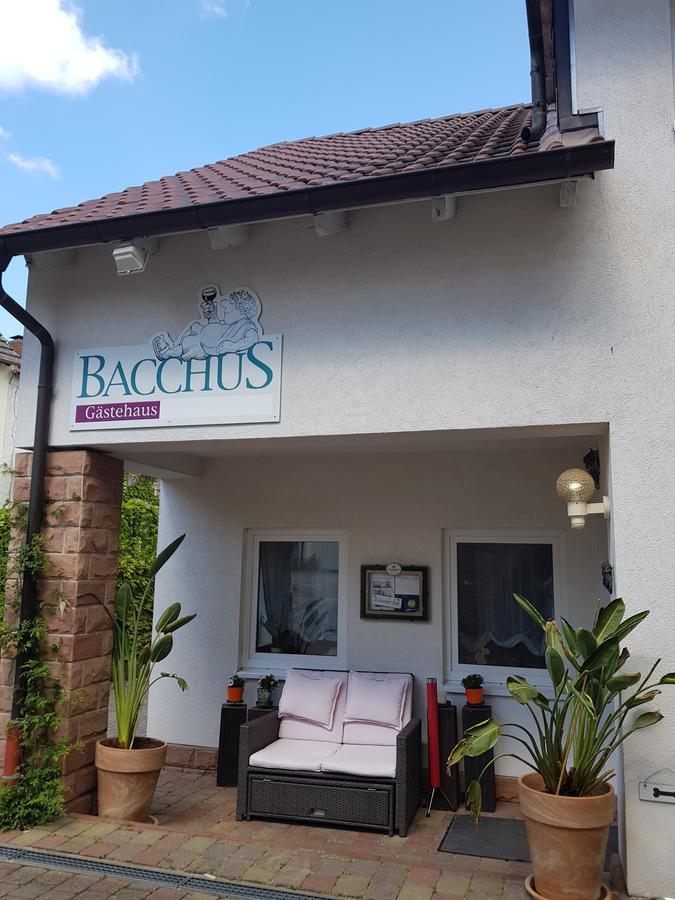 Gaestehaus Bacchus Wachenheim an der Weinstraße Eksteriør billede