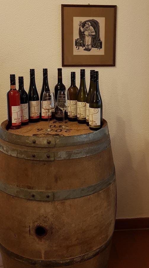 Gaestehaus Bacchus Wachenheim an der Weinstraße Eksteriør billede
